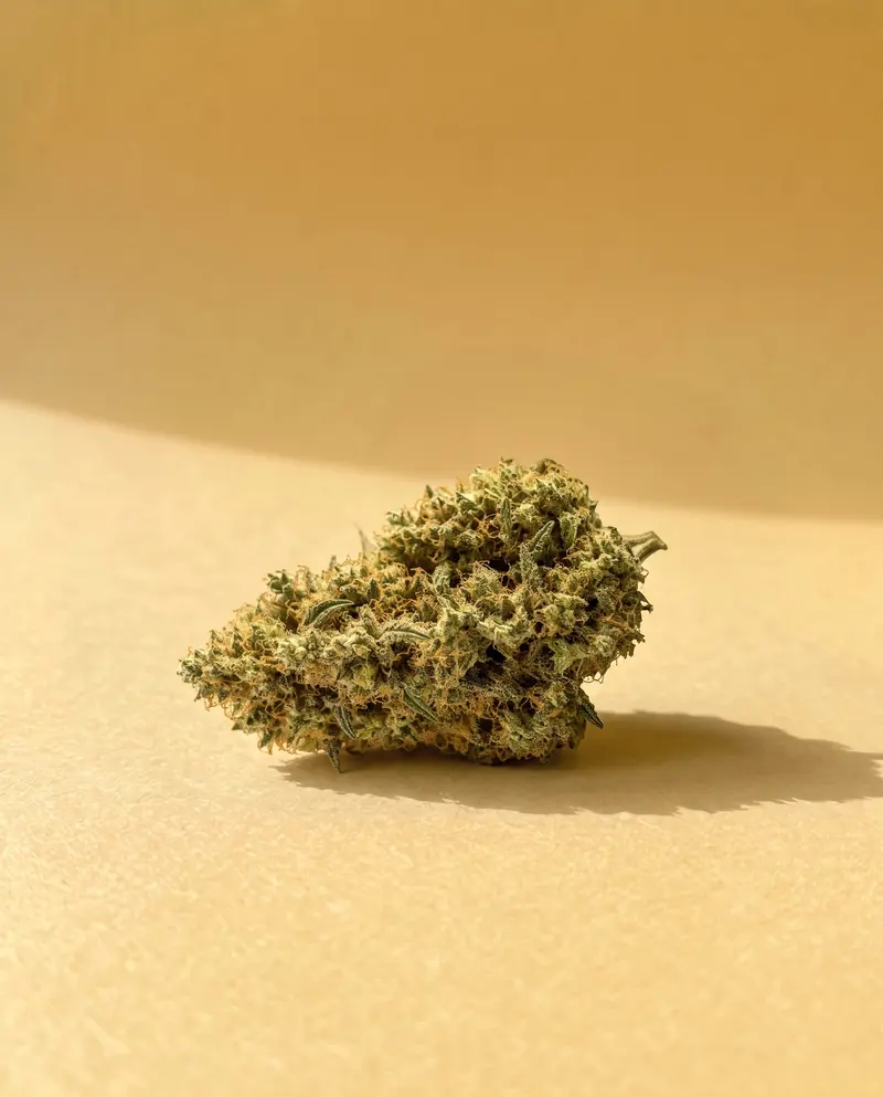 Amnesia Haze : fleur CBD Fumée d'Or