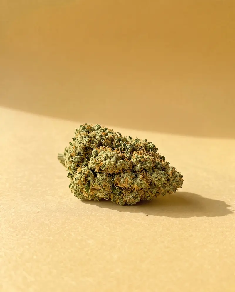 Red Berry : Fleur CBD Fumée d'Or