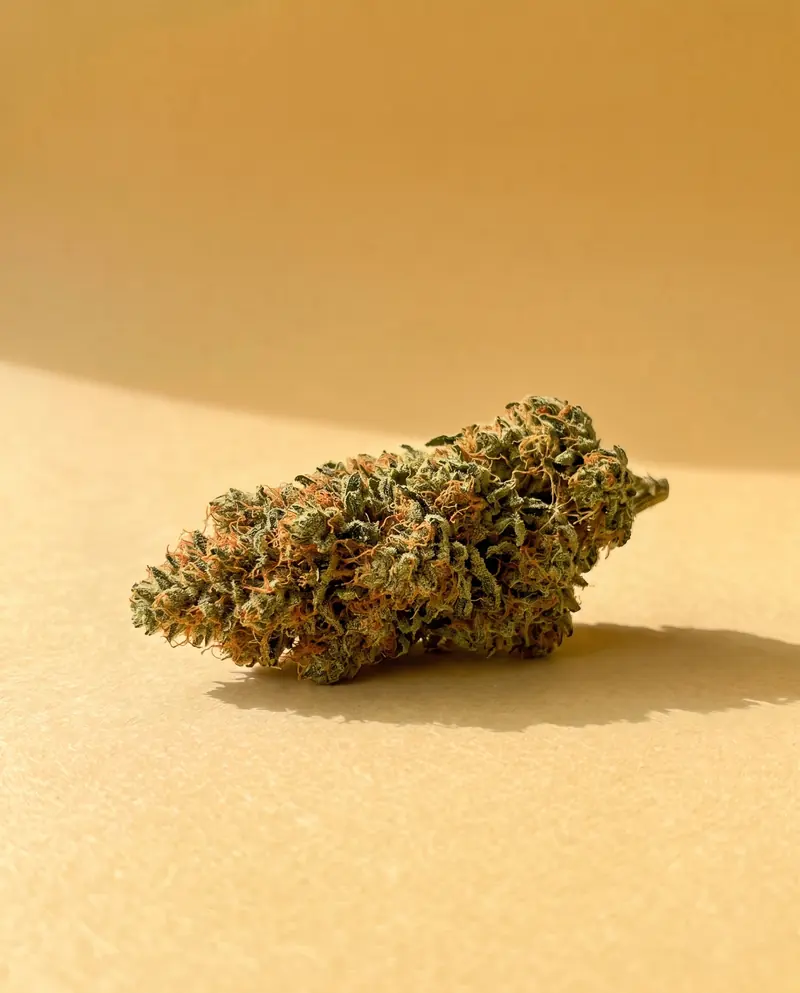 Orange Kush : fleur CBD Fumée d'Or