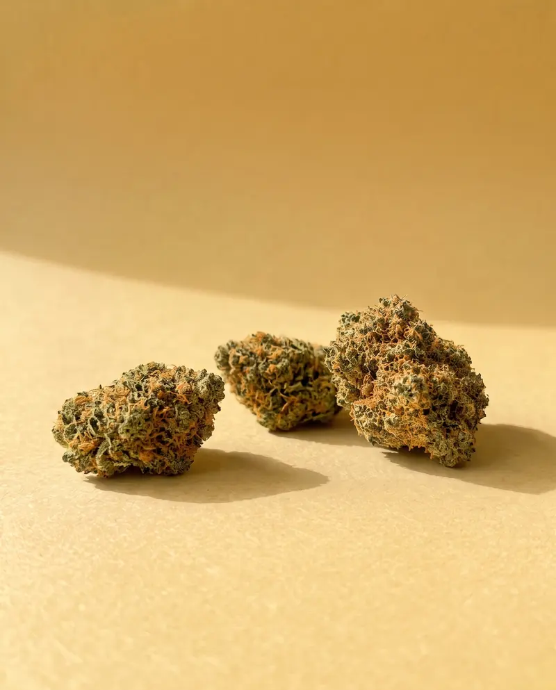 Orange Bud : fleur CBD Fumée d'Or