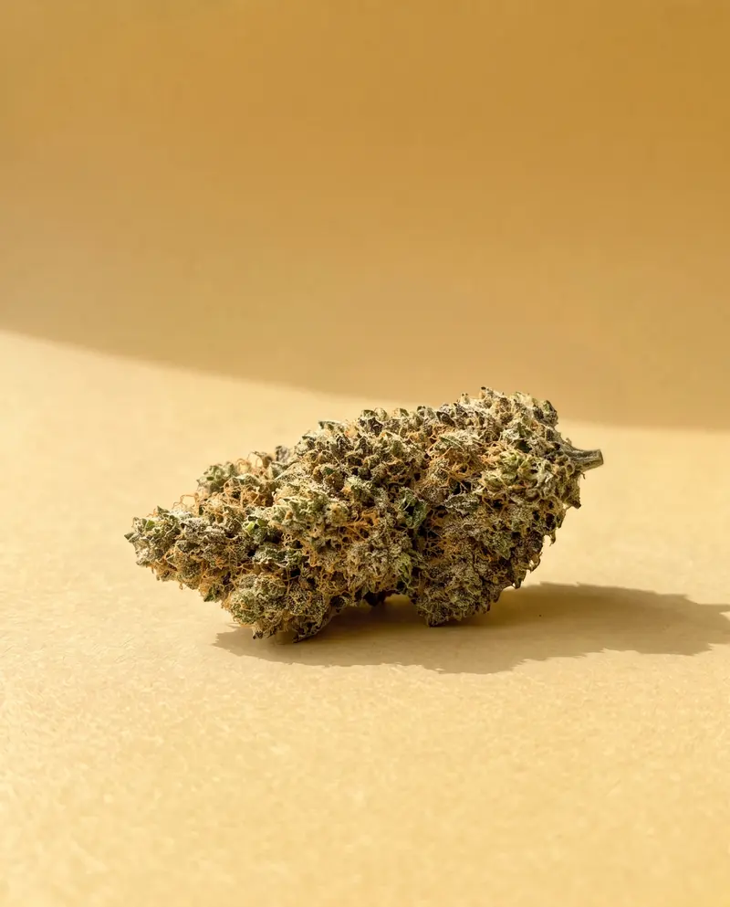 Skunk : Fleur CBD Fumée d'Or