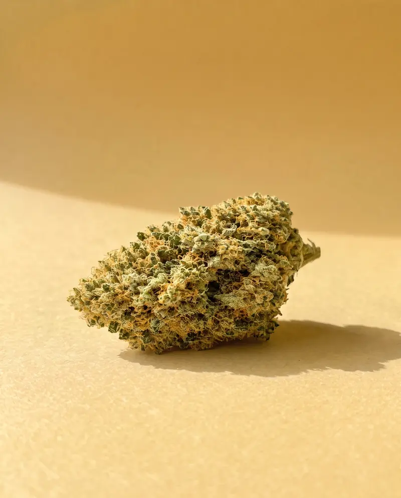 Super Lemon Haze : Fleur CBD Fumée d'Or