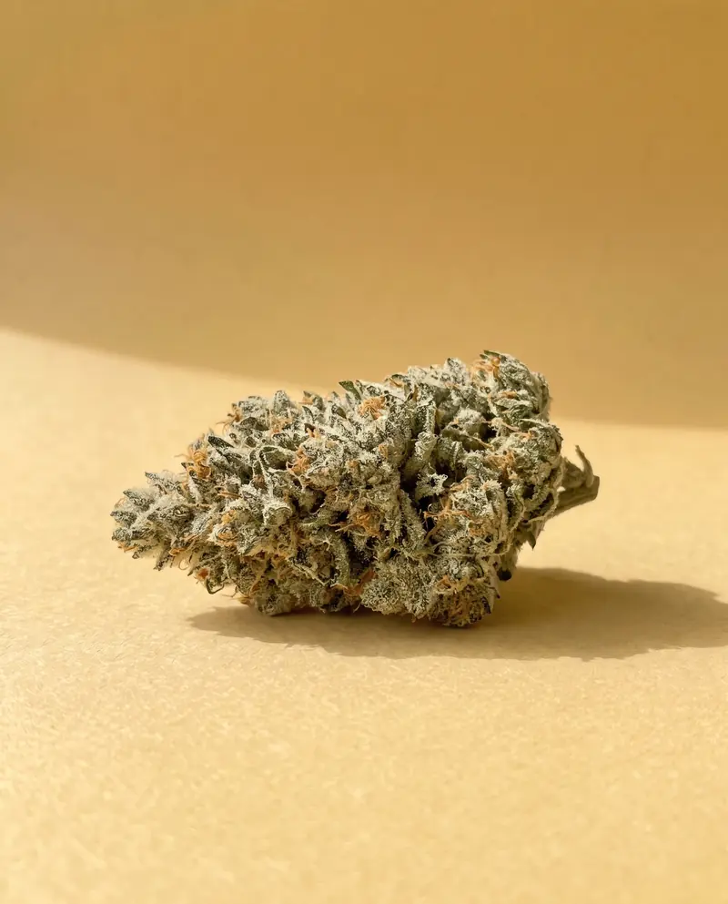 White Widow : fleur CBD Fumée d'Or